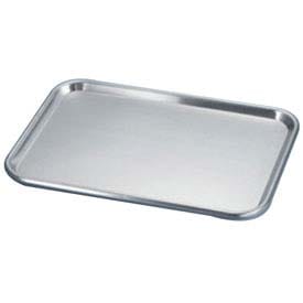 Stainless Steel Instrument Tray